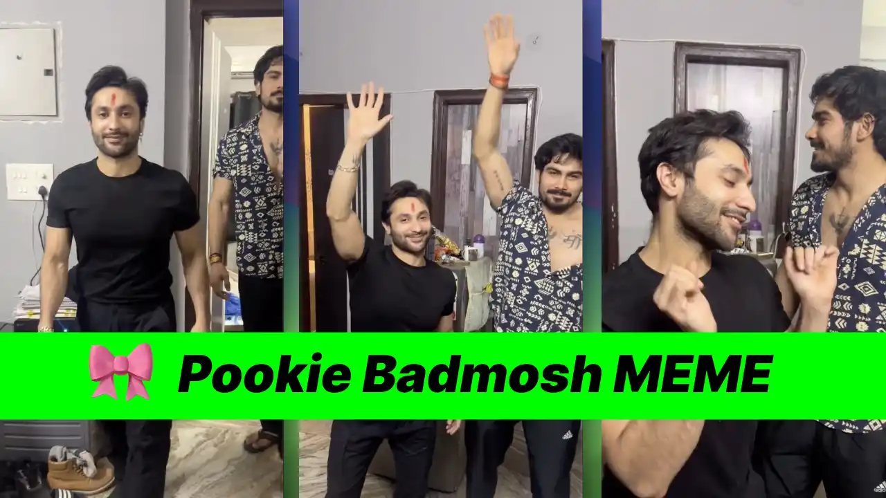 Harsh Beniwal Pookie Badmosh Meme Video Template